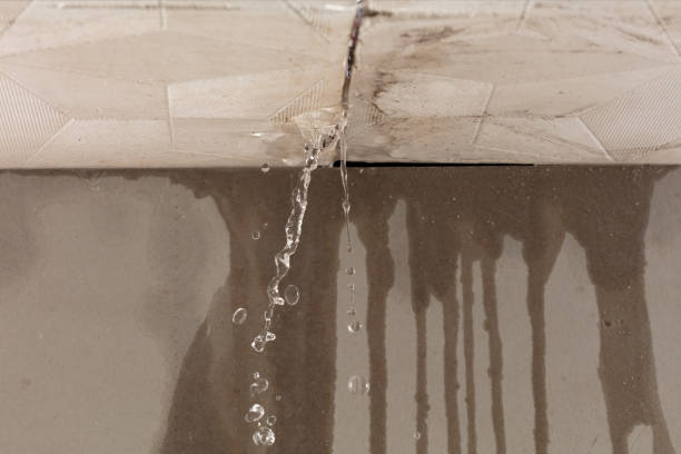 Professional Structural Drying technician working in Bingen, WA